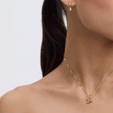 Cherries Charm