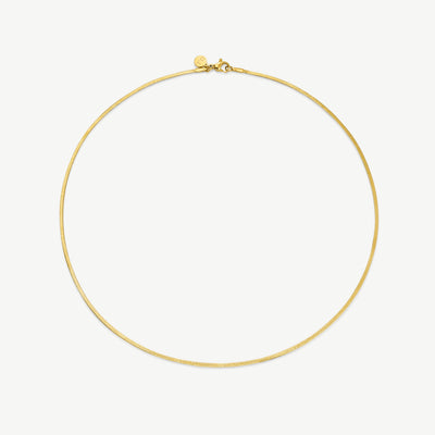 Fine Essentials Necklace
