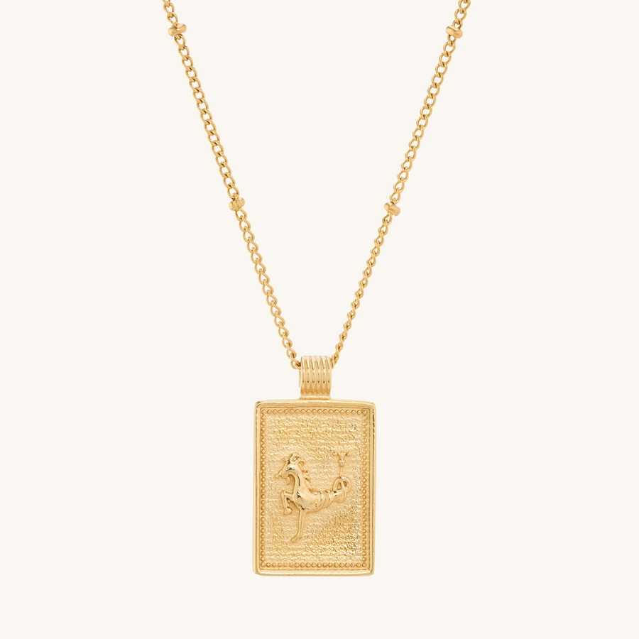 Capricorn Zodiac Necklace